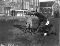 832158 Afbeelding van een militair (die zoent?) met een paard op het terrein van de Kazerne der Veldartillerie ...